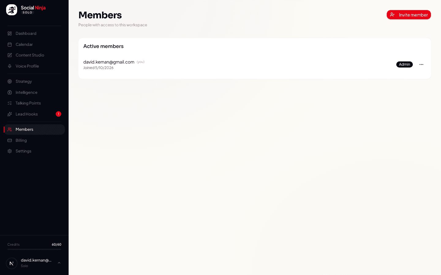 Workspace members list with admin role badge